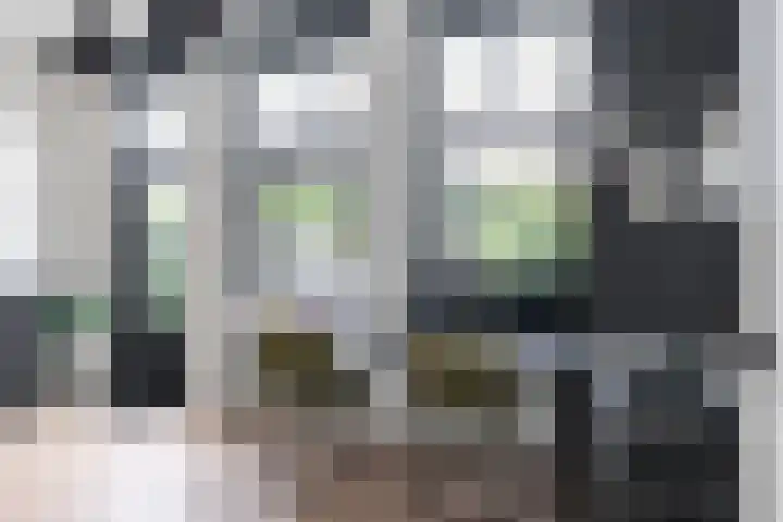 Maassluissedijk 82 Vlaardingen thumbnail 16