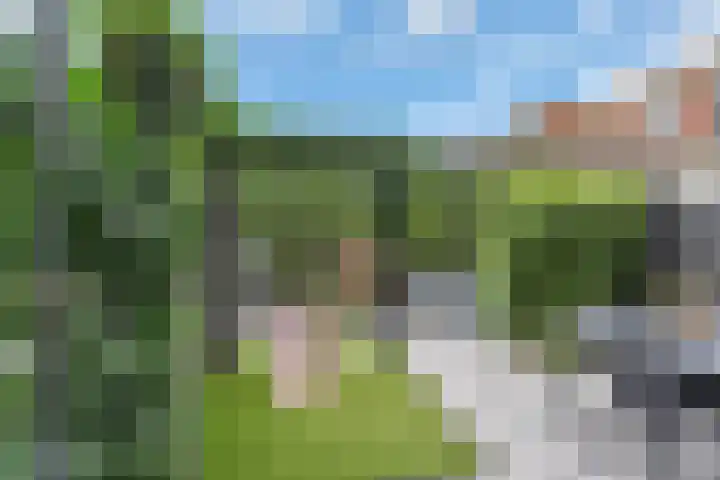 Maassluissedijk 82 Vlaardingen thumbnail 4