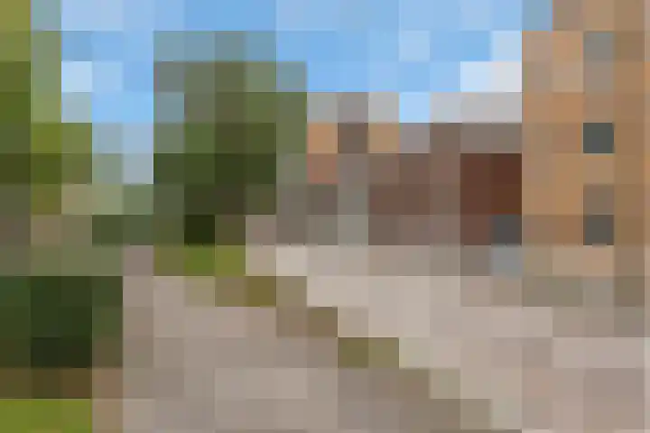 Maassluissedijk 82 Vlaardingen thumbnail 43