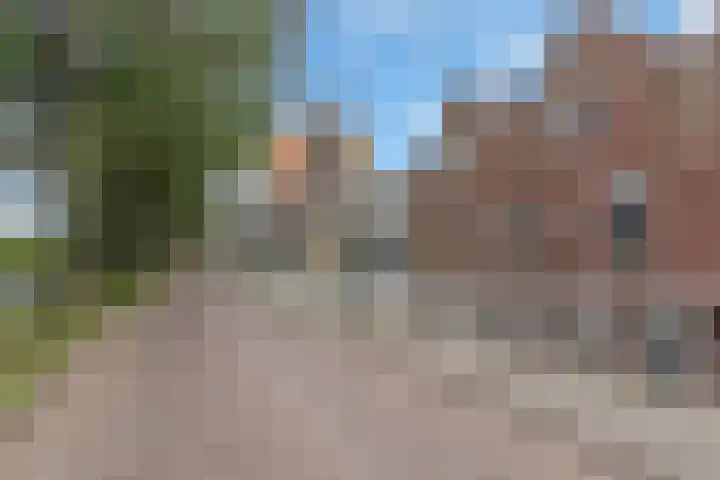 Maassluissedijk 82 Vlaardingen thumbnail 45