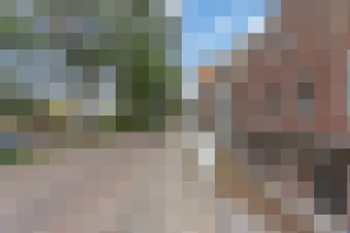 Maassluissedijk 82 Vlaardingen thumbnail 5