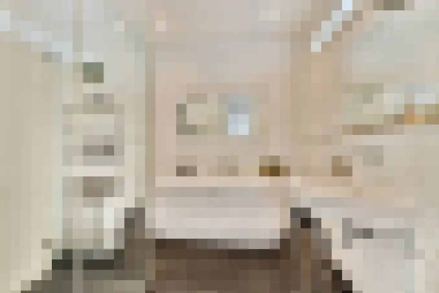 Maassluissedijk 88 Vlaardingen thumbnail 15