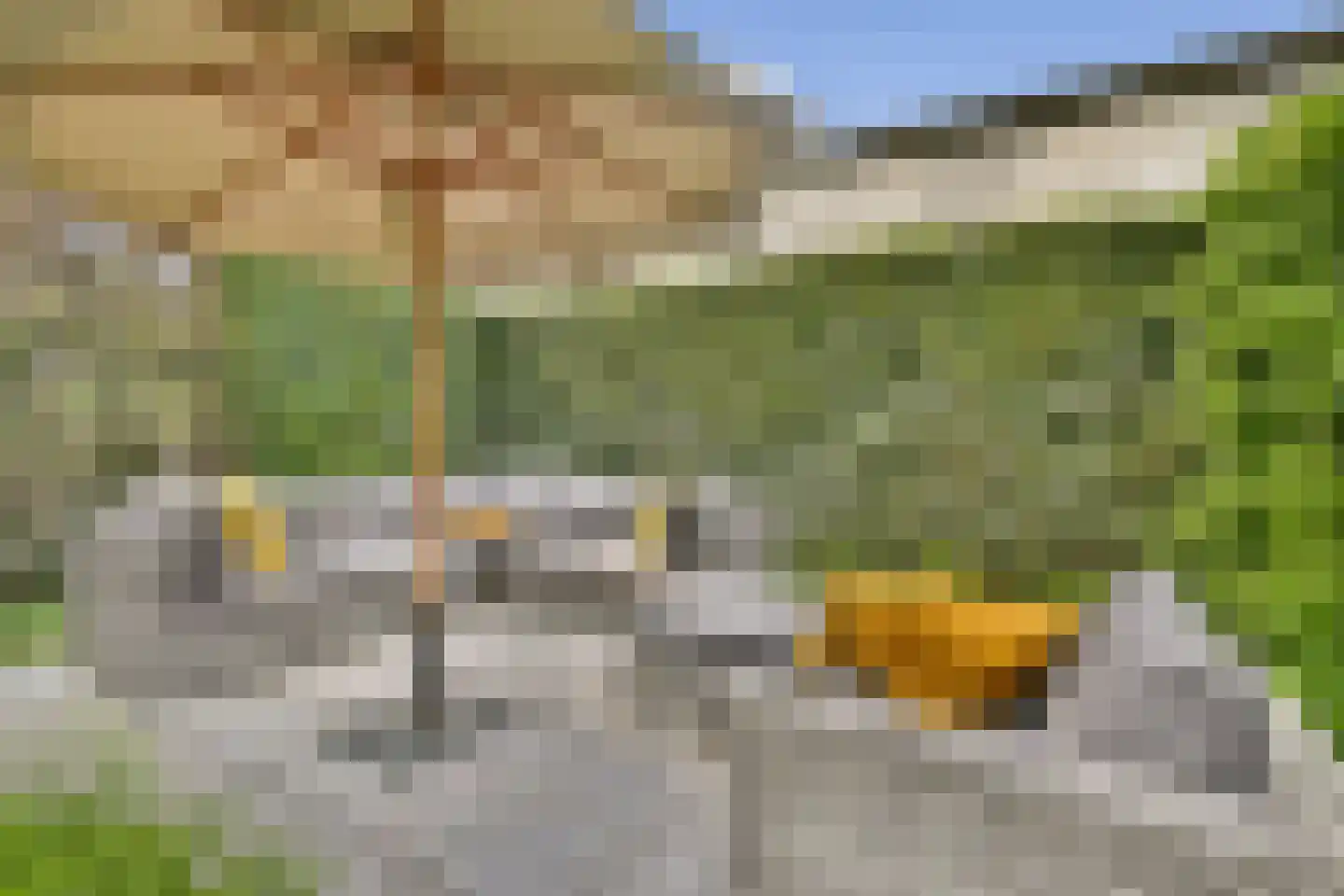 Maassluissedijk 88 Vlaardingen thumbnail 21