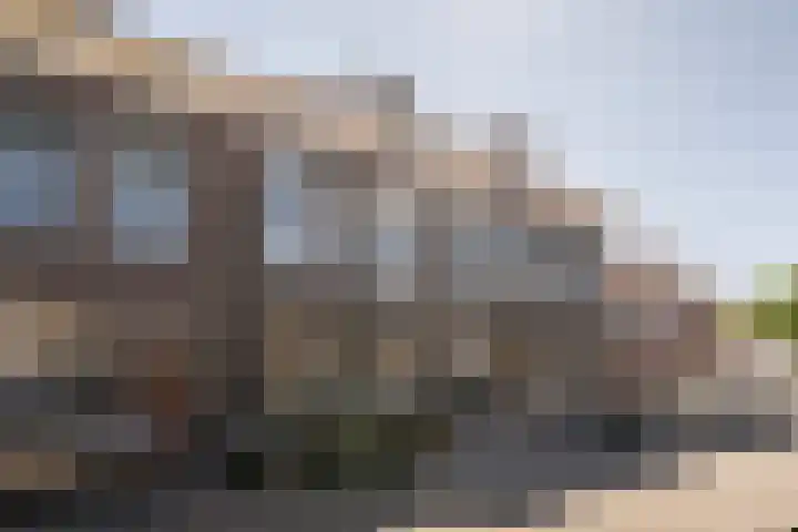 Maassluissedijk 9 Vlaardingen thumbnail 10