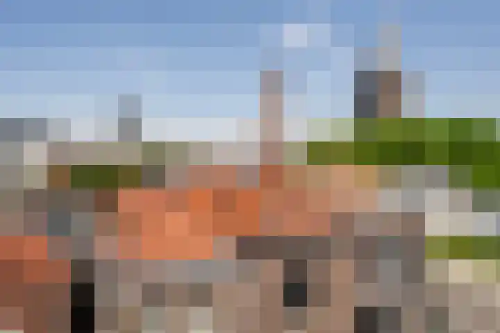 Maassluissedijk 9 Vlaardingen thumbnail 63