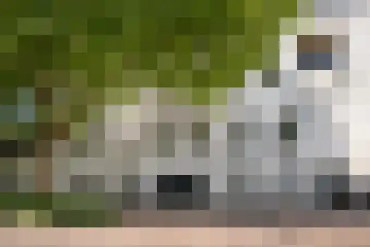 Maassluissedijk 9 Vlaardingen thumbnail 77