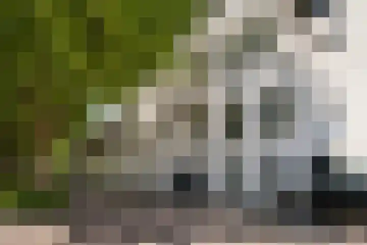 Maassluissedijk 9 Vlaardingen thumbnail 78