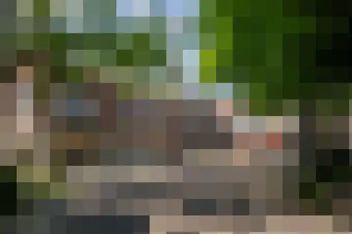 Maassluissedijk 9 Vlaardingen thumbnail 8