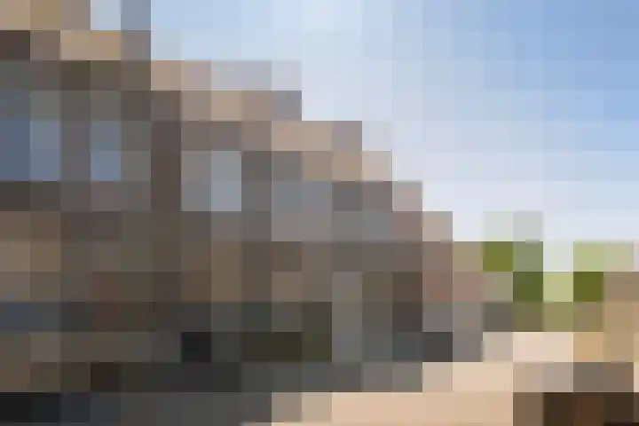 Maassluissedijk 9 Vlaardingen thumbnail 9