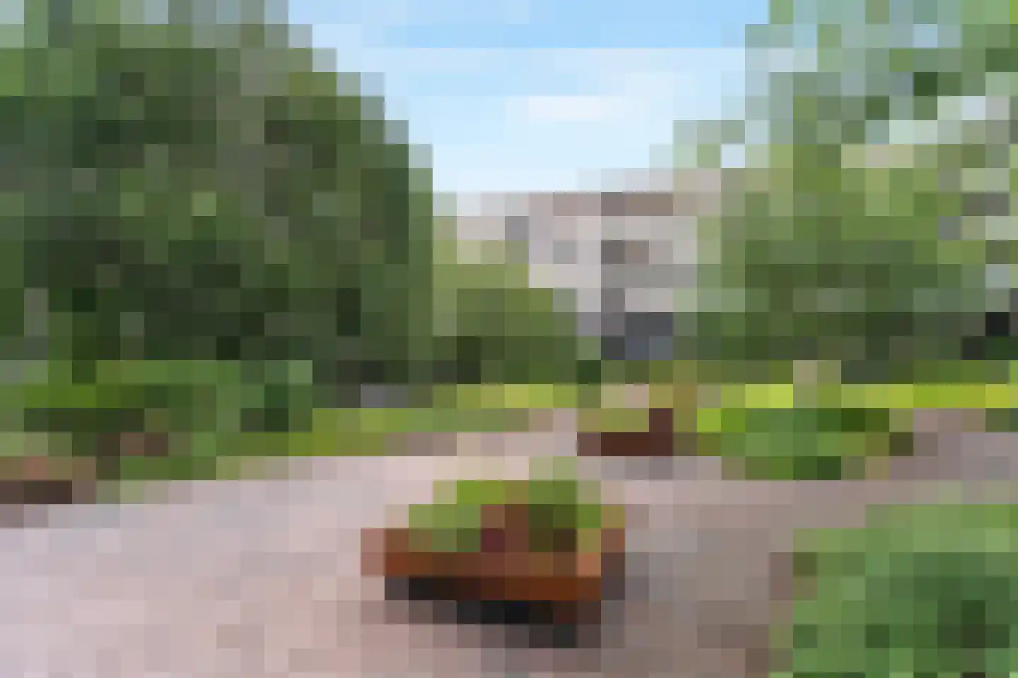 Maassluisstraat 41 Amsterdam thumbnail 30