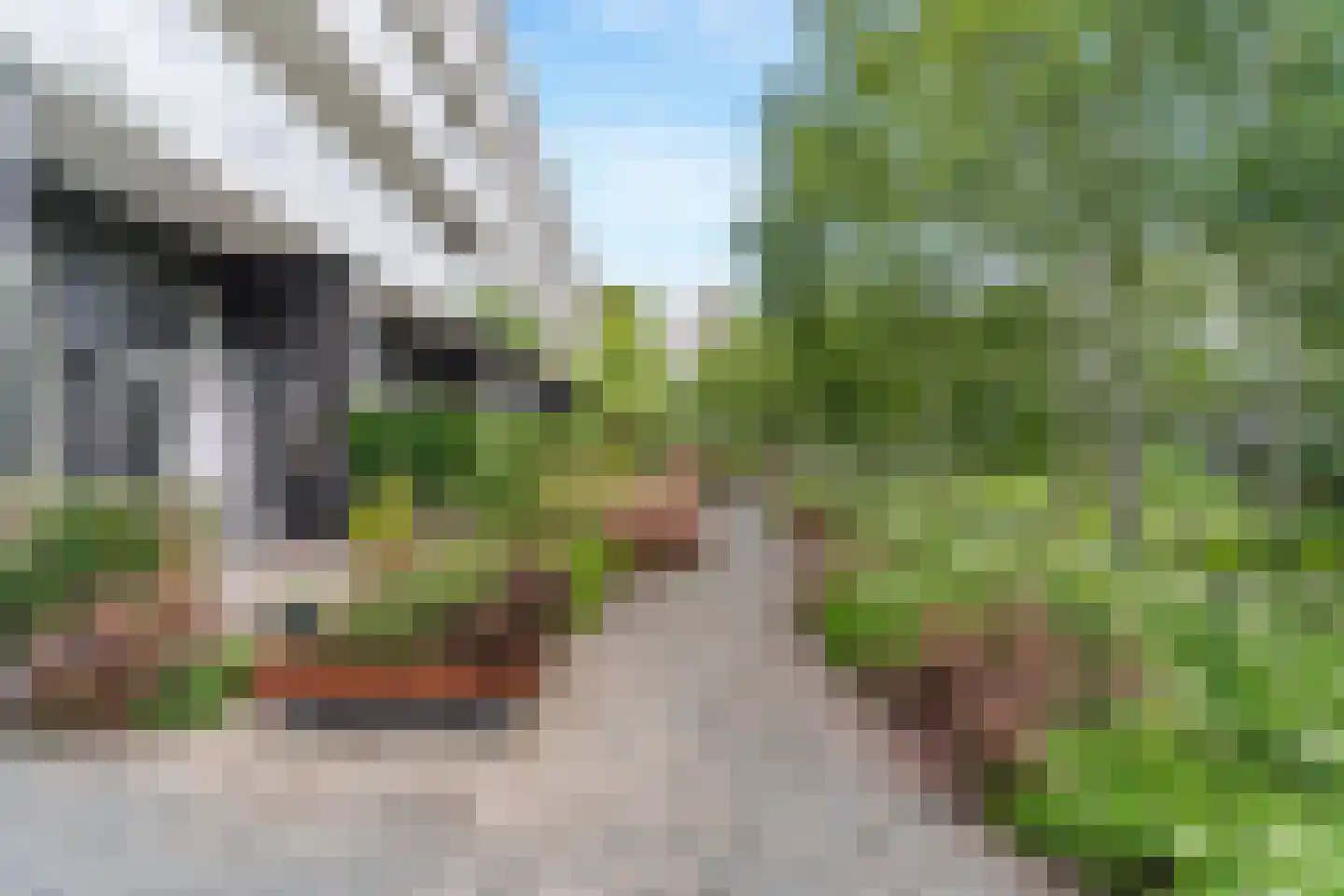 Maassluisstraat 41 Amsterdam thumbnail 31
