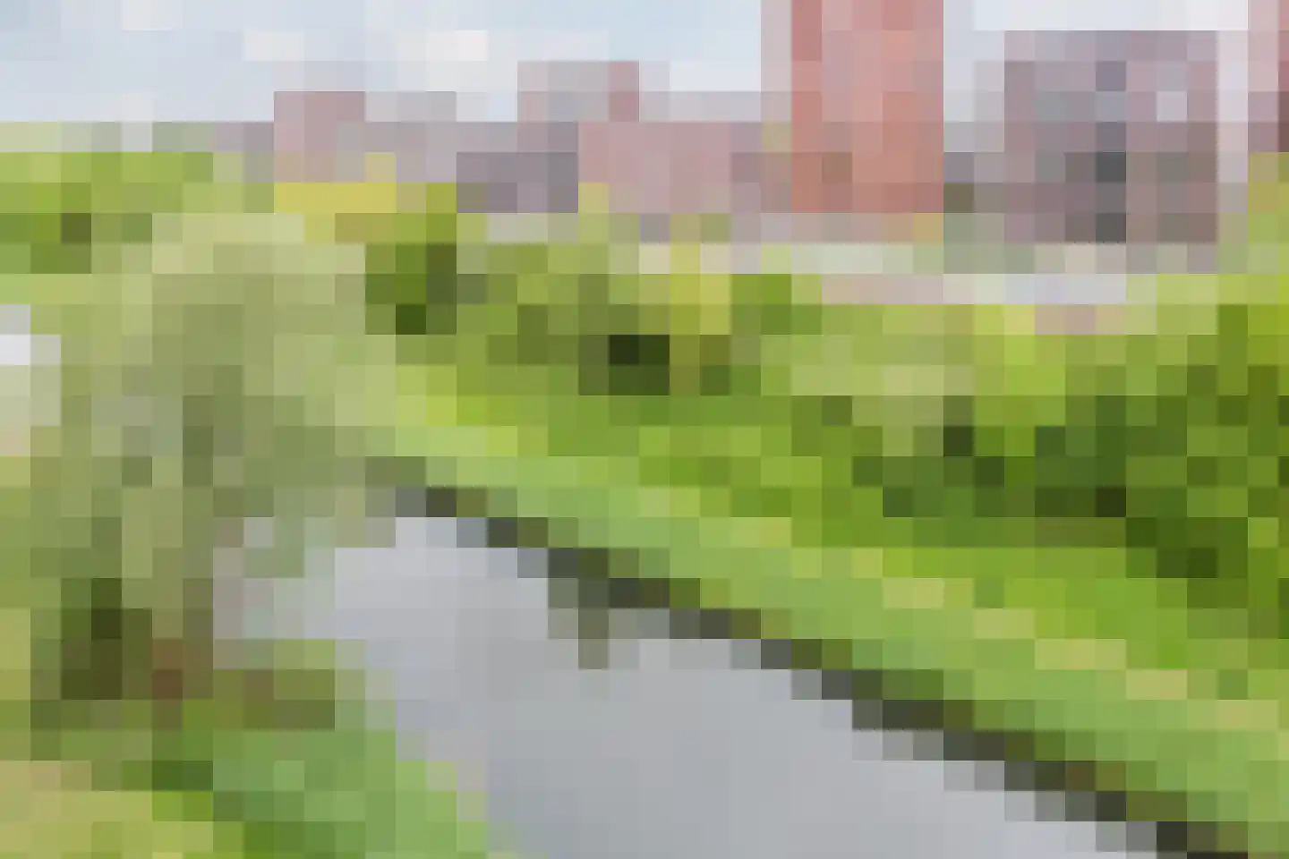 Maassluisstraat 44 Amsterdam thumbnail 32