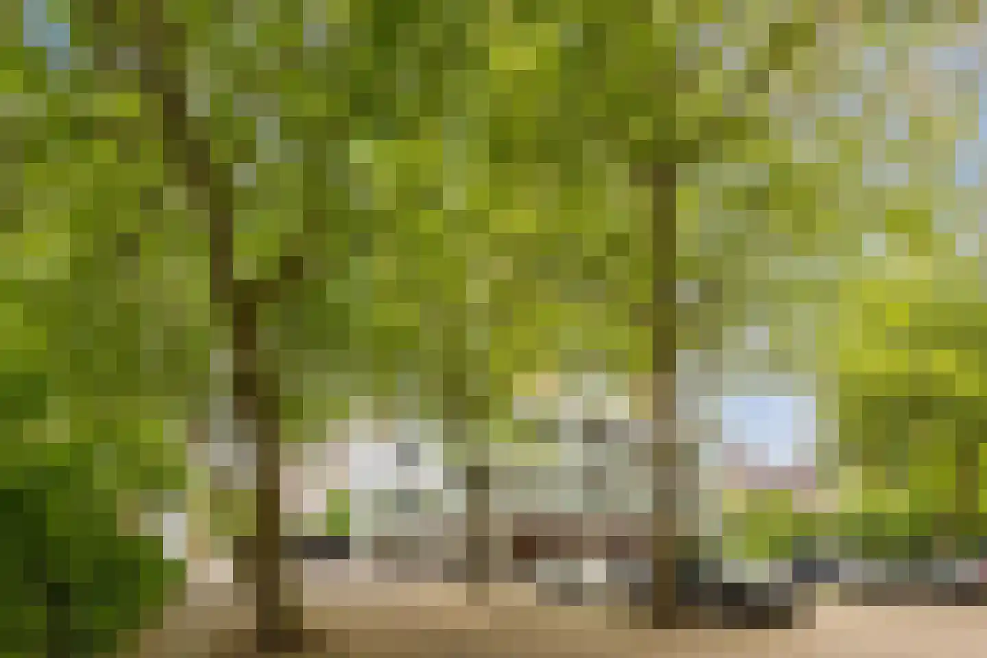 Maassluisstraat 44 Amsterdam thumbnail 35