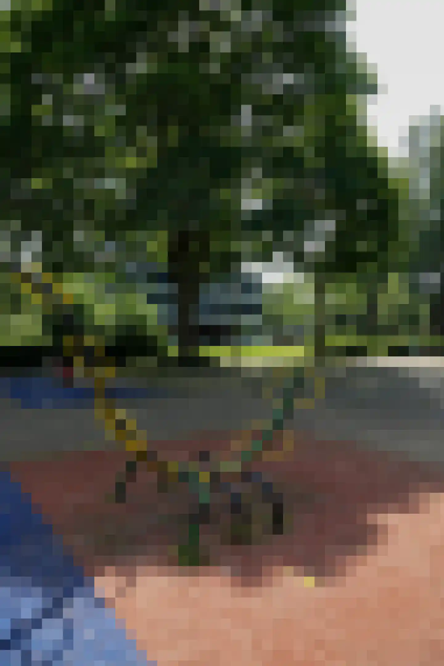 Maassluisstraat 504 Amsterdam thumbnail 25