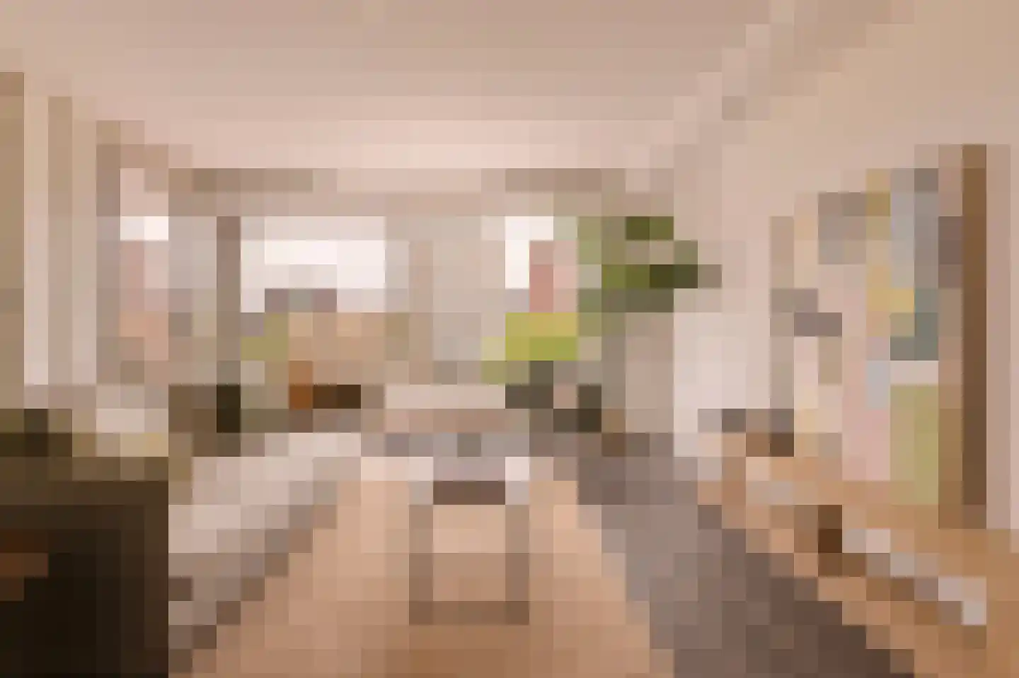 Maassluisstraat 57 Amsterdam thumbnail 8