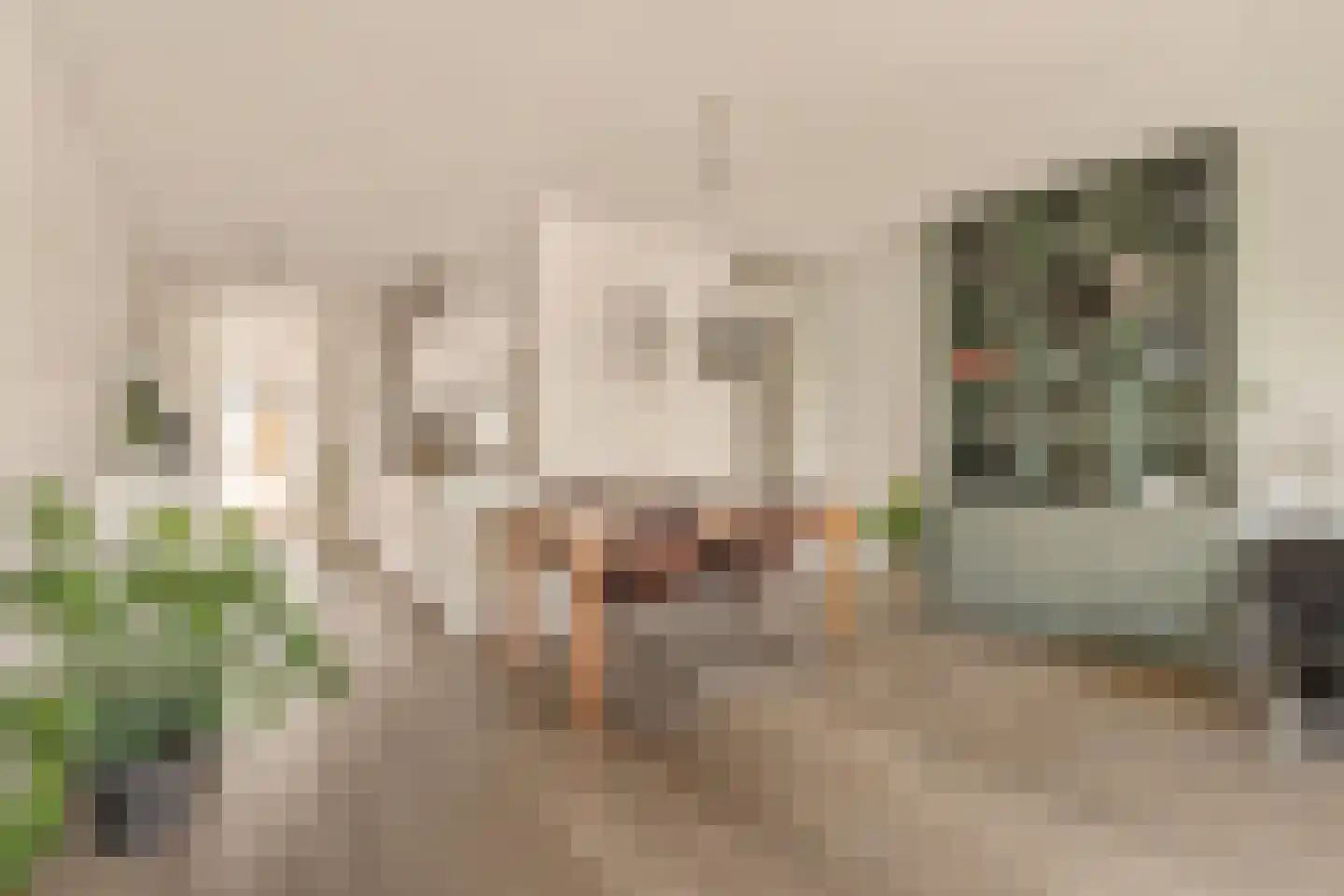 Maassluisstraat 61 Amsterdam thumbnail 5