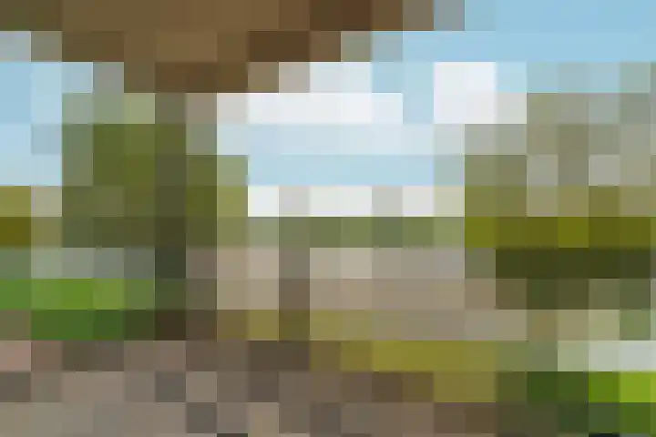 Maasstaete 81 Mook thumbnail 12