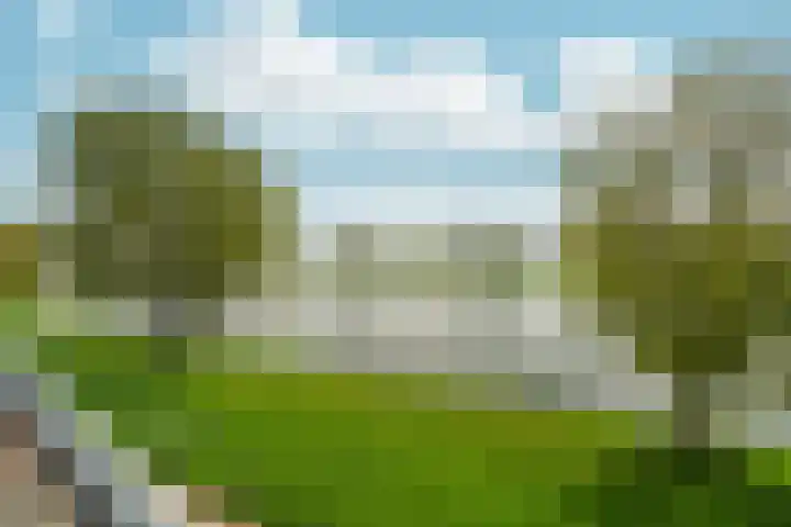 Maasstaete 81 Mook thumbnail 14