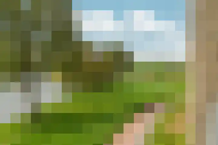 Maasstaete 81 Mook thumbnail 15