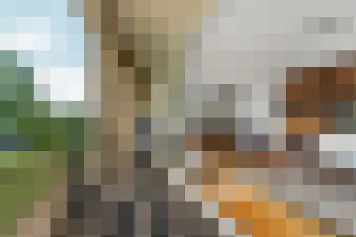 Maasstaete 81 Mook thumbnail 16