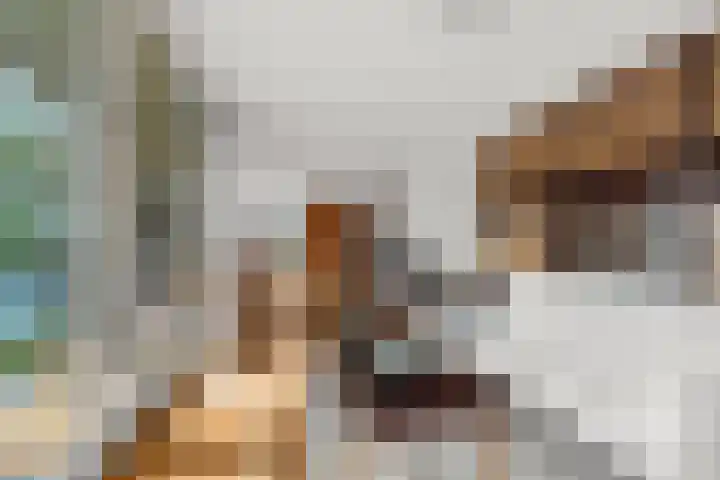 Maasstaete 81 Mook thumbnail 18
