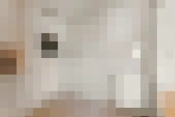 Maasstaete 81 Mook thumbnail 23