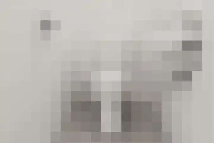 Maasstaete 81 Mook thumbnail 27