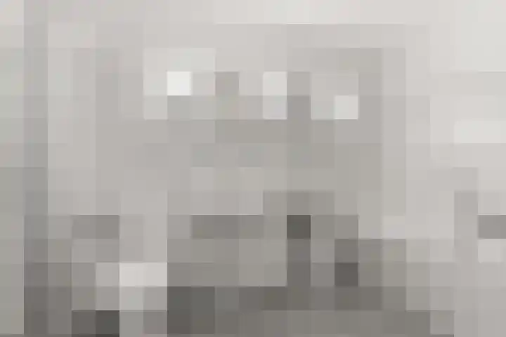 Maasstaete 81 Mook thumbnail 30
