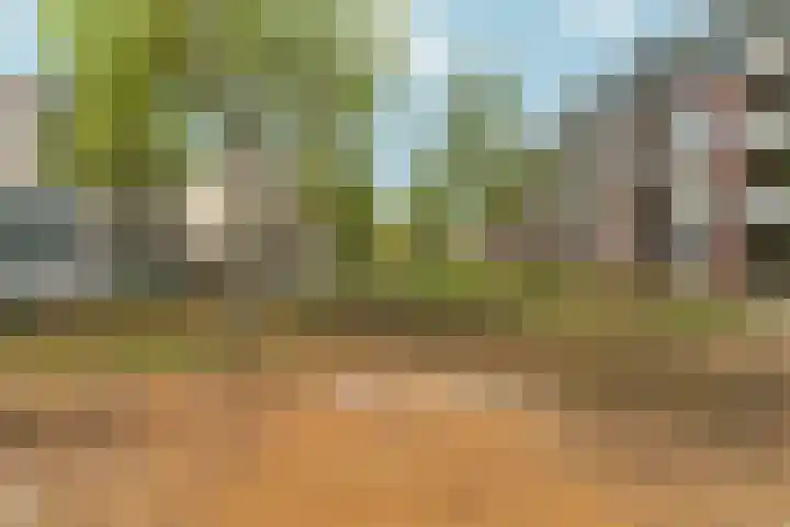 Maasstaete 81 Mook thumbnail 38