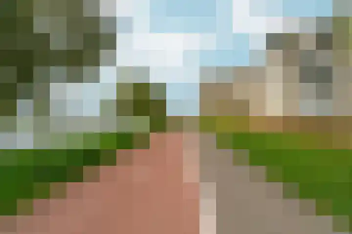 Maasstaete 81 Mook thumbnail 39