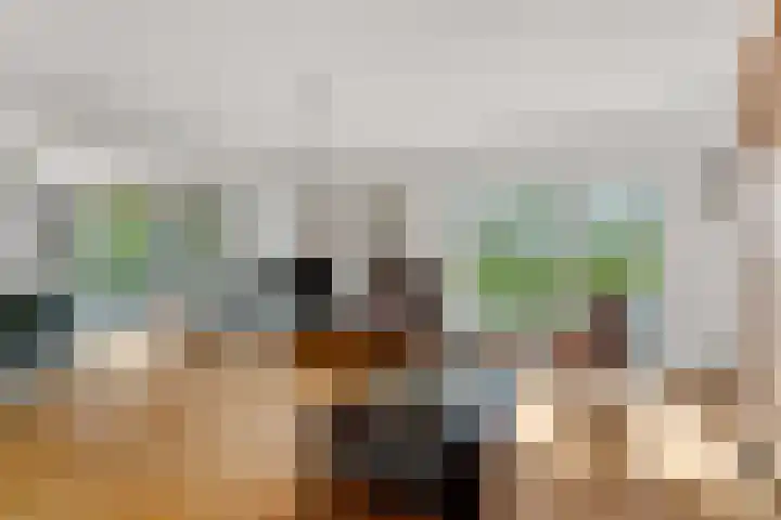 Maasstaete 81 Mook thumbnail 8