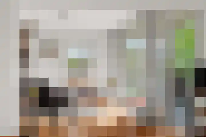 Maasstaete 81 Mook thumbnail 9
