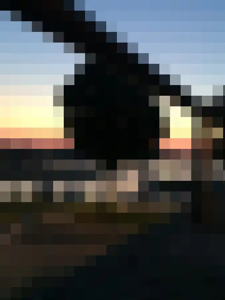 Maasstraat 1 c Maasbracht thumbnail 13