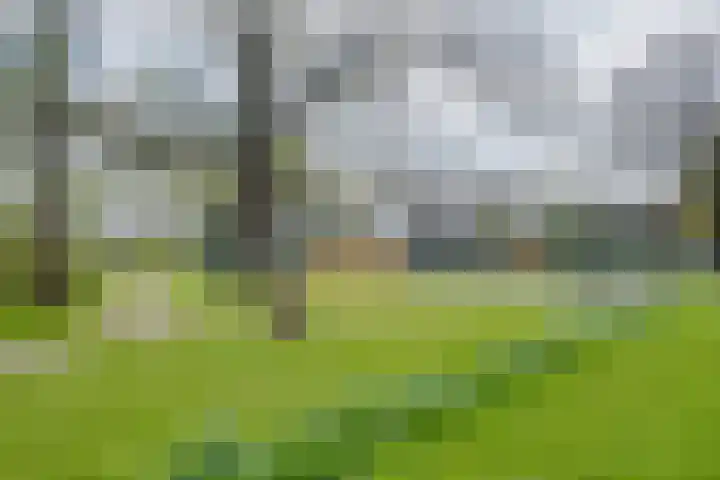 Maasstraat 1 Deventer thumbnail 39