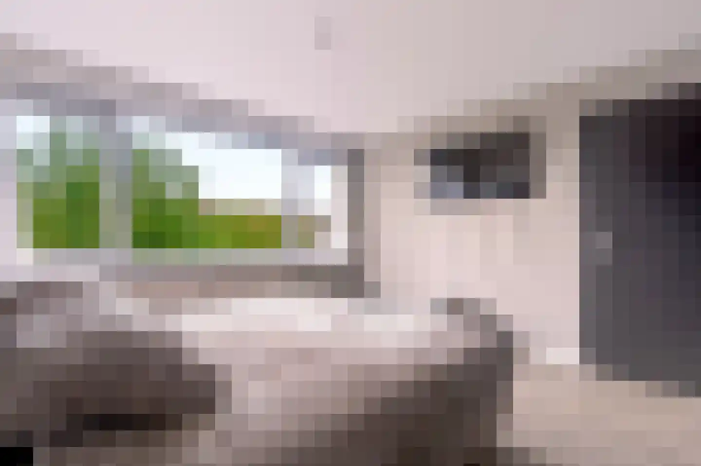 Maasstraat 1 Nijverdal thumbnail 12