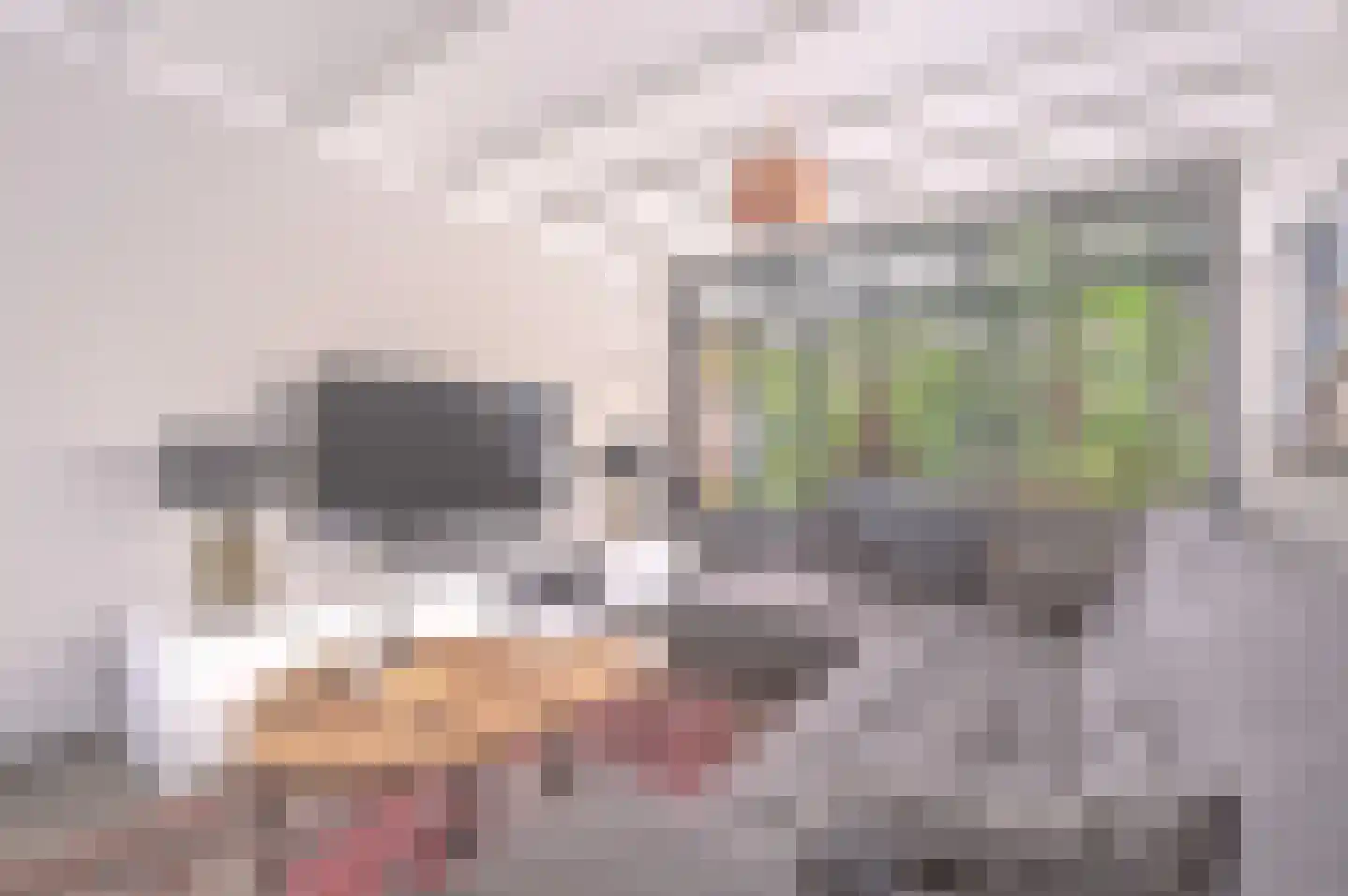 Maasstraat 1 Nijverdal thumbnail 22