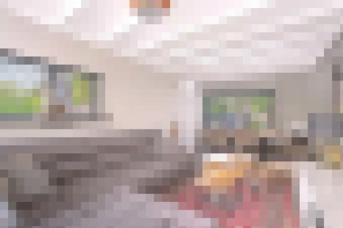 Maasstraat 1 Nijverdal thumbnail 23