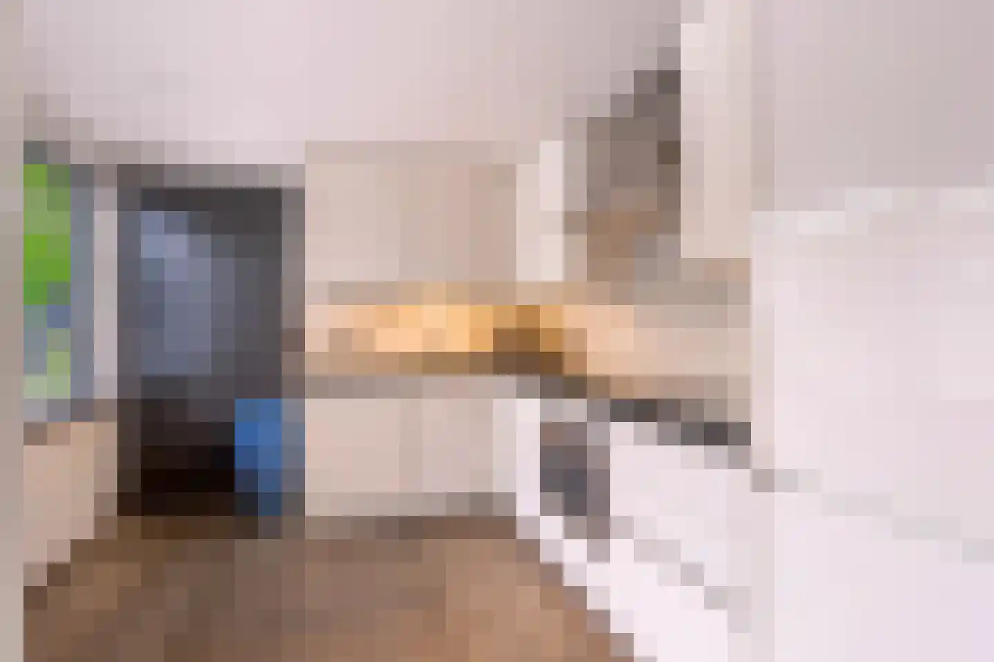 Maasstraat 1 Nijverdal thumbnail 24
