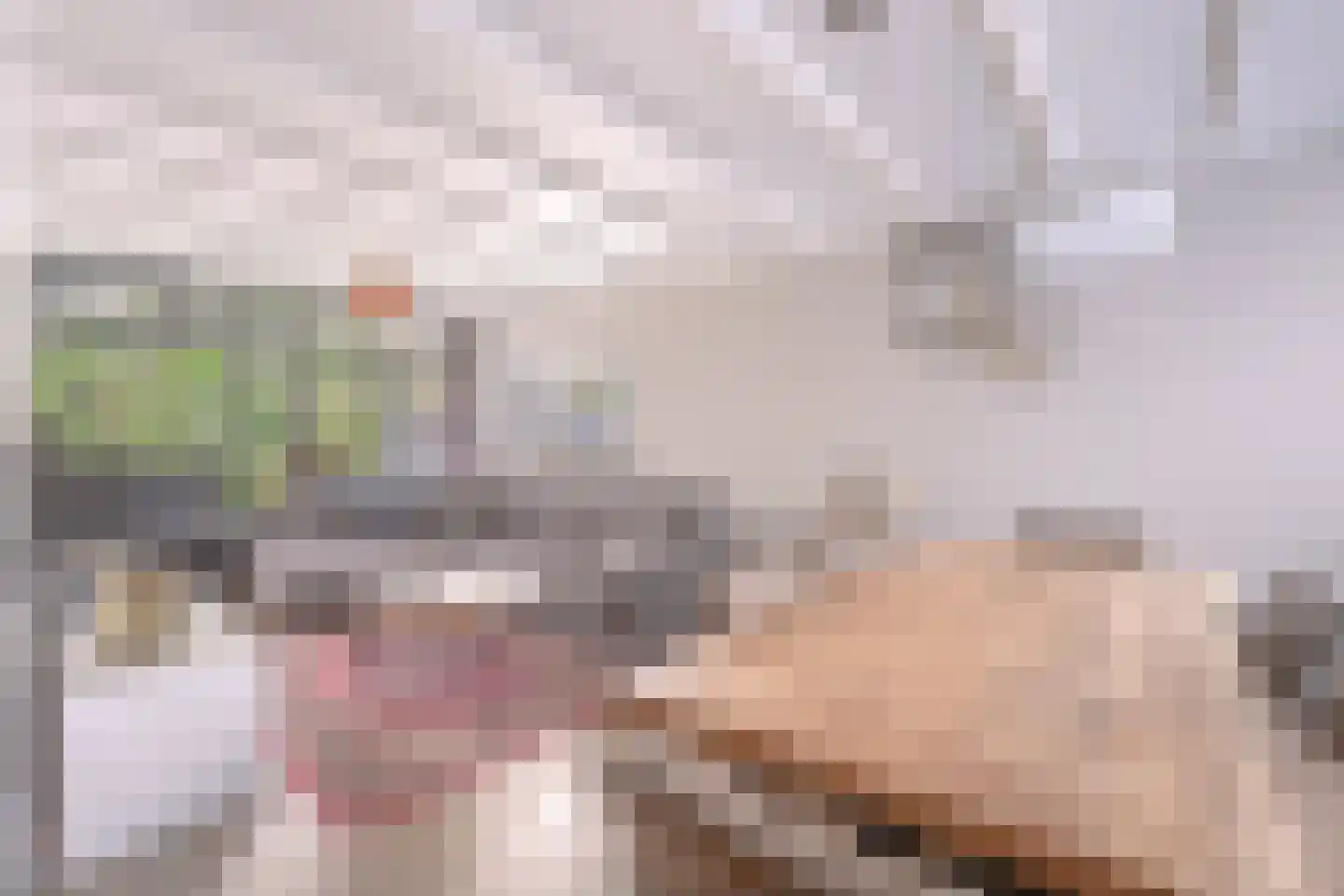 Maasstraat 1 Nijverdal thumbnail 6