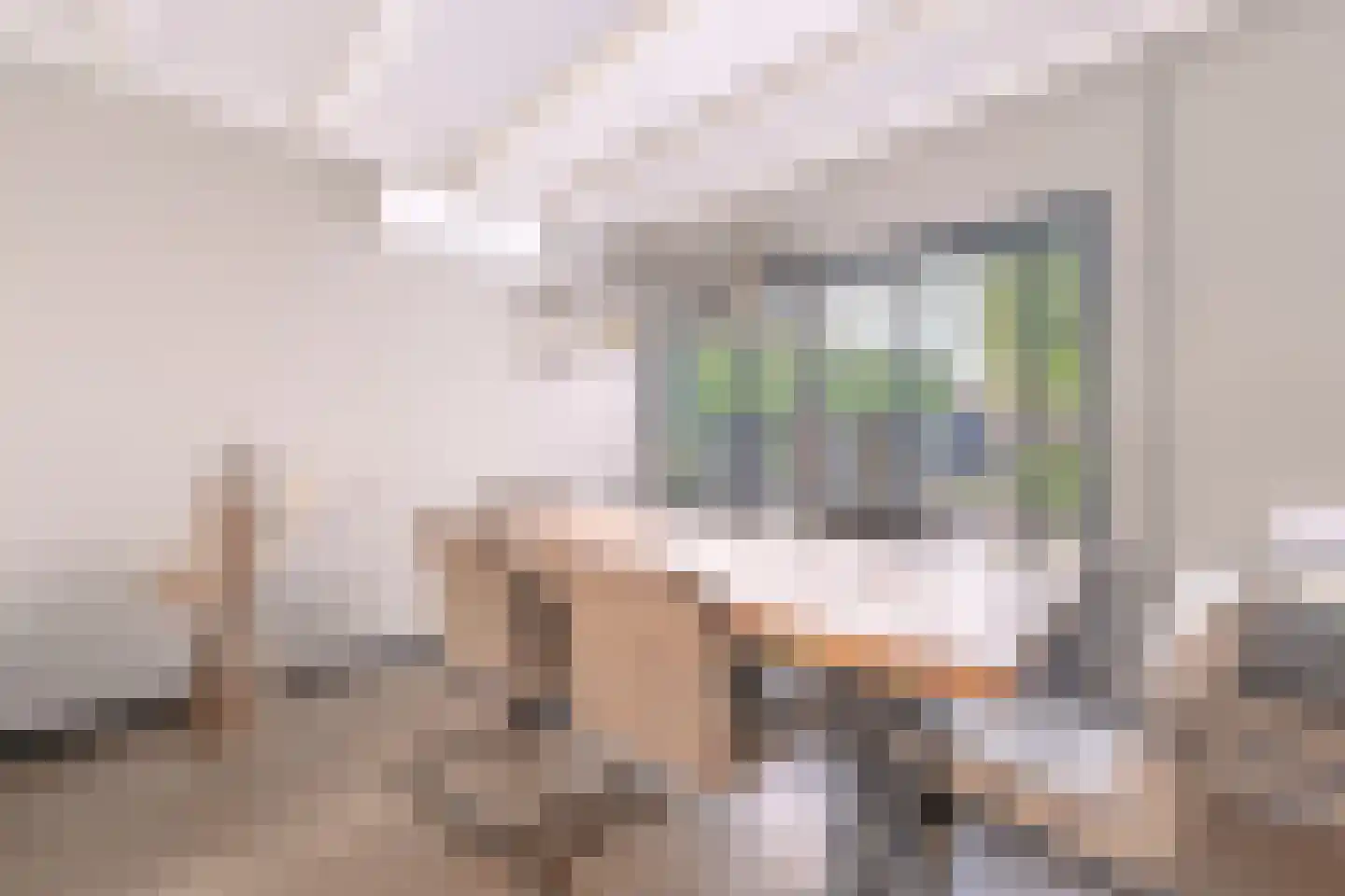 Maasstraat 1 Nijverdal thumbnail 7