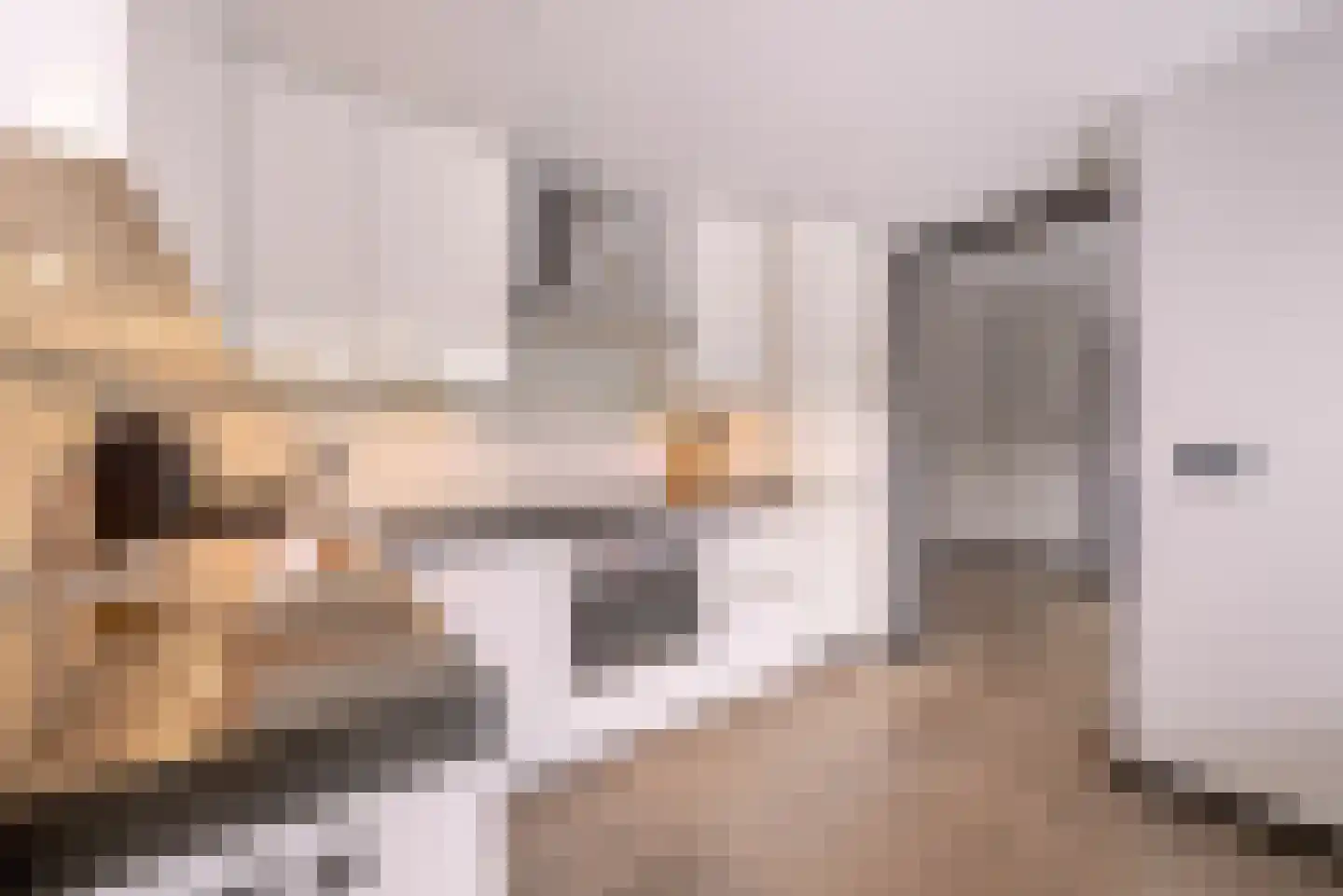 Maasstraat 1 Nijverdal thumbnail 9