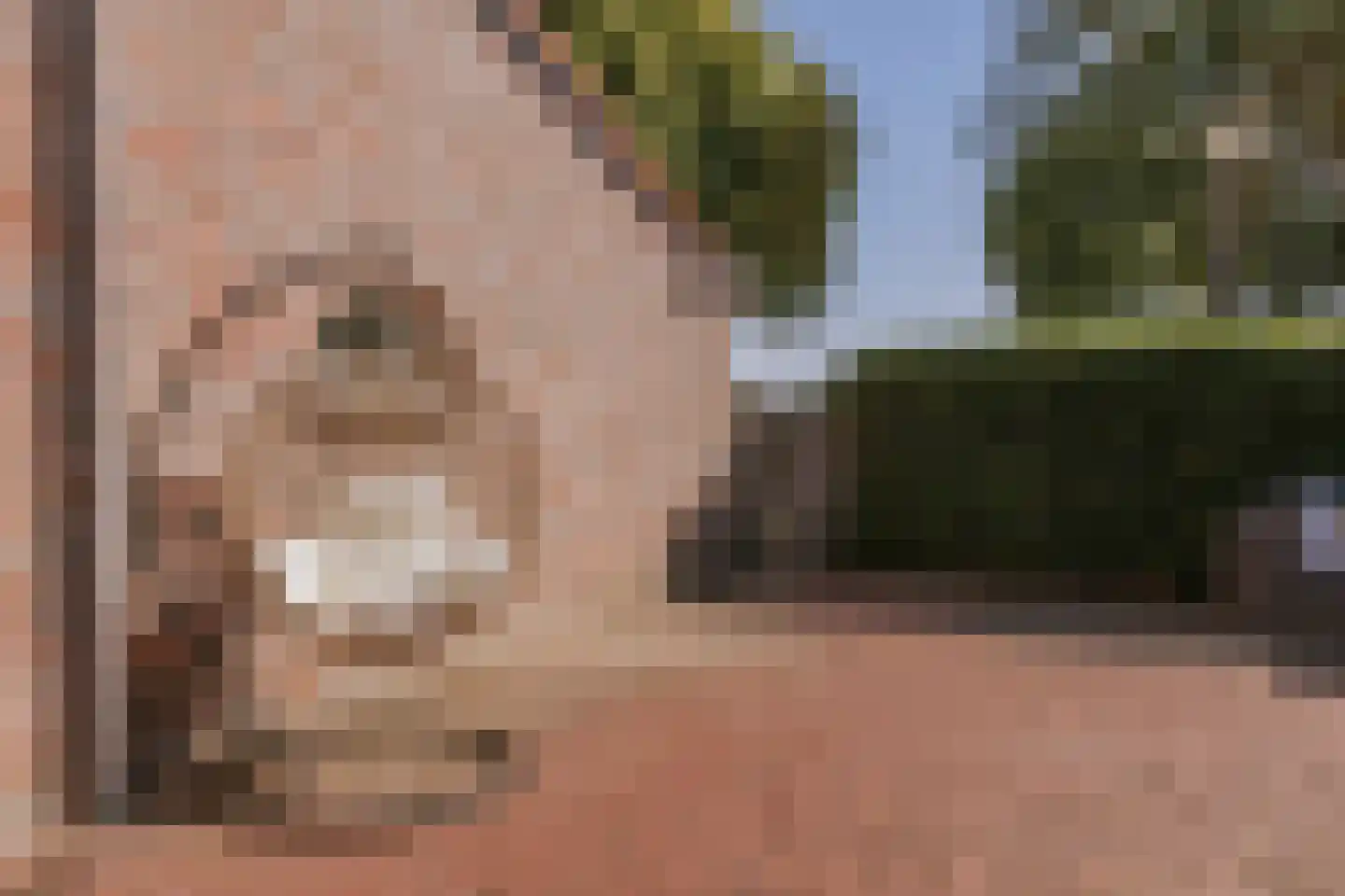 Maasstraat 10 Herten thumbnail 23