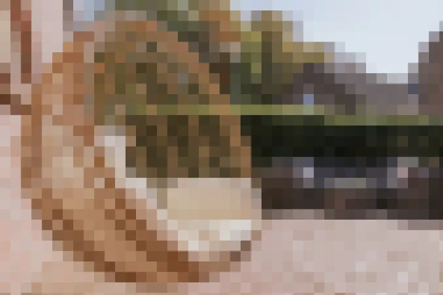 Maasstraat 10 Herten thumbnail 24