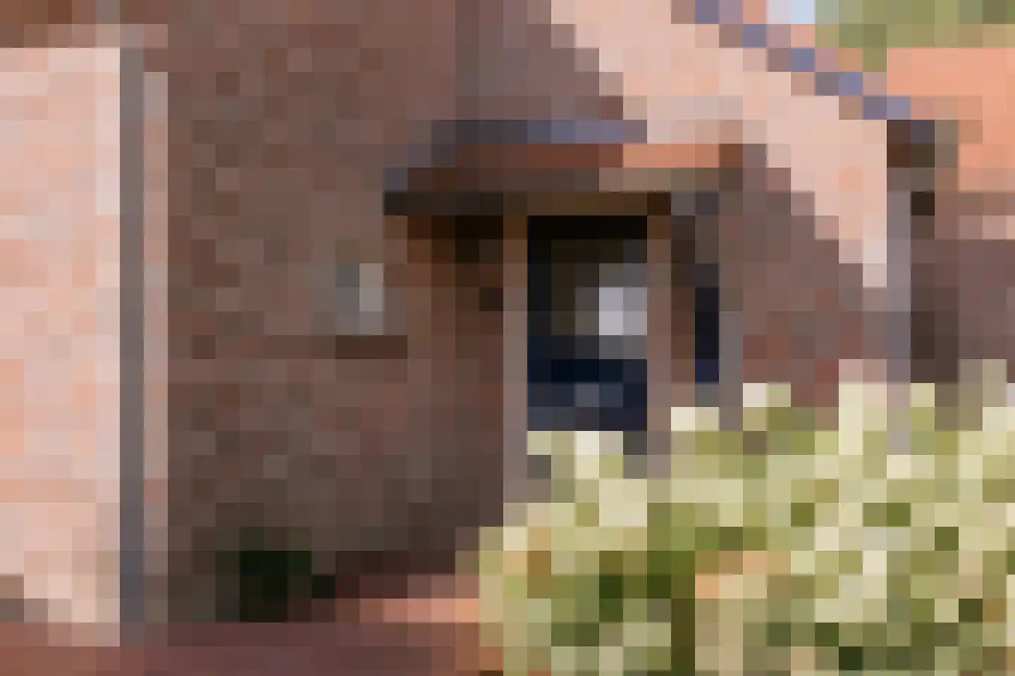 Maasstraat 10 Herten thumbnail 44