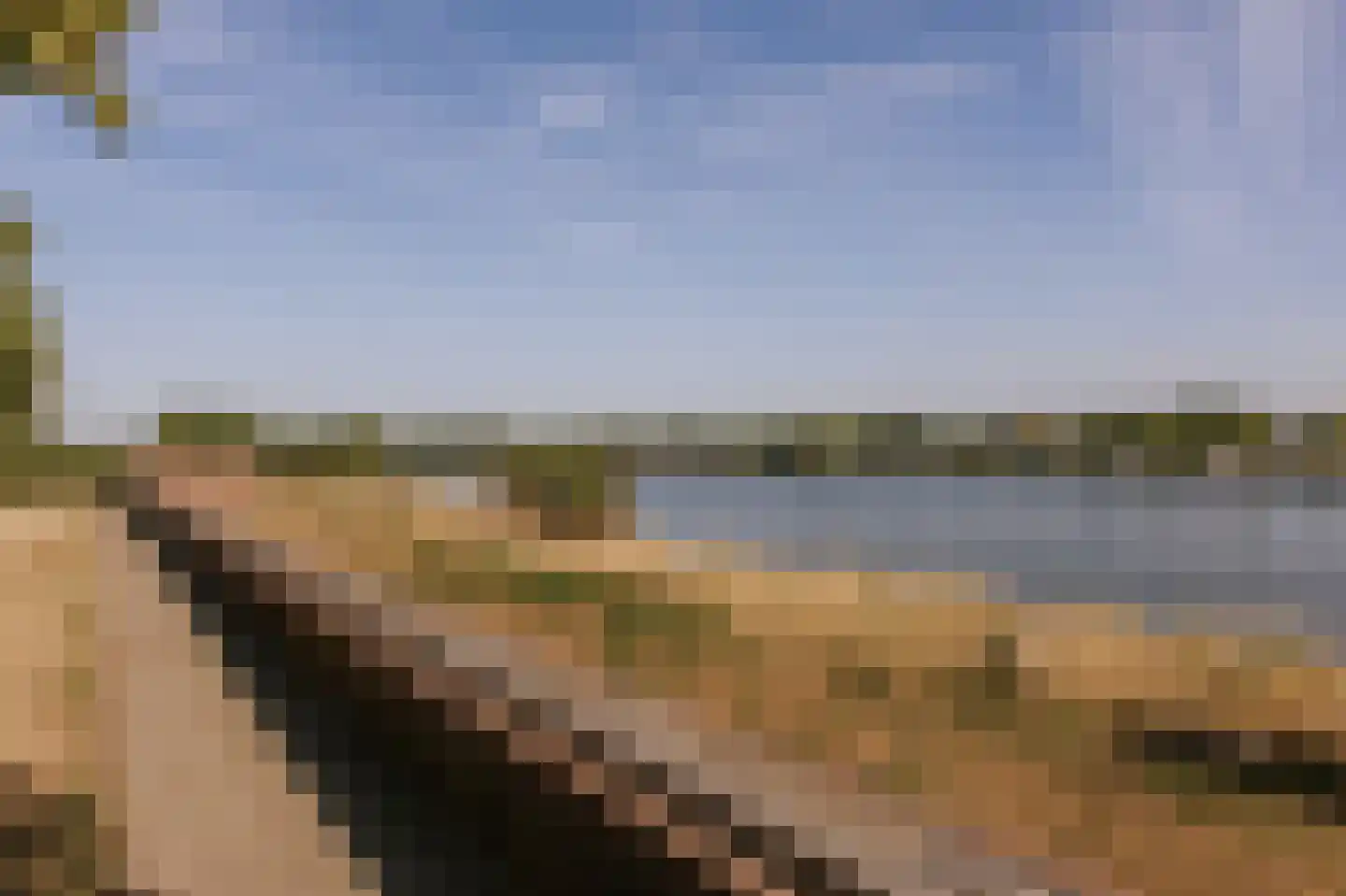 Maasstraat 10 Herten thumbnail 48