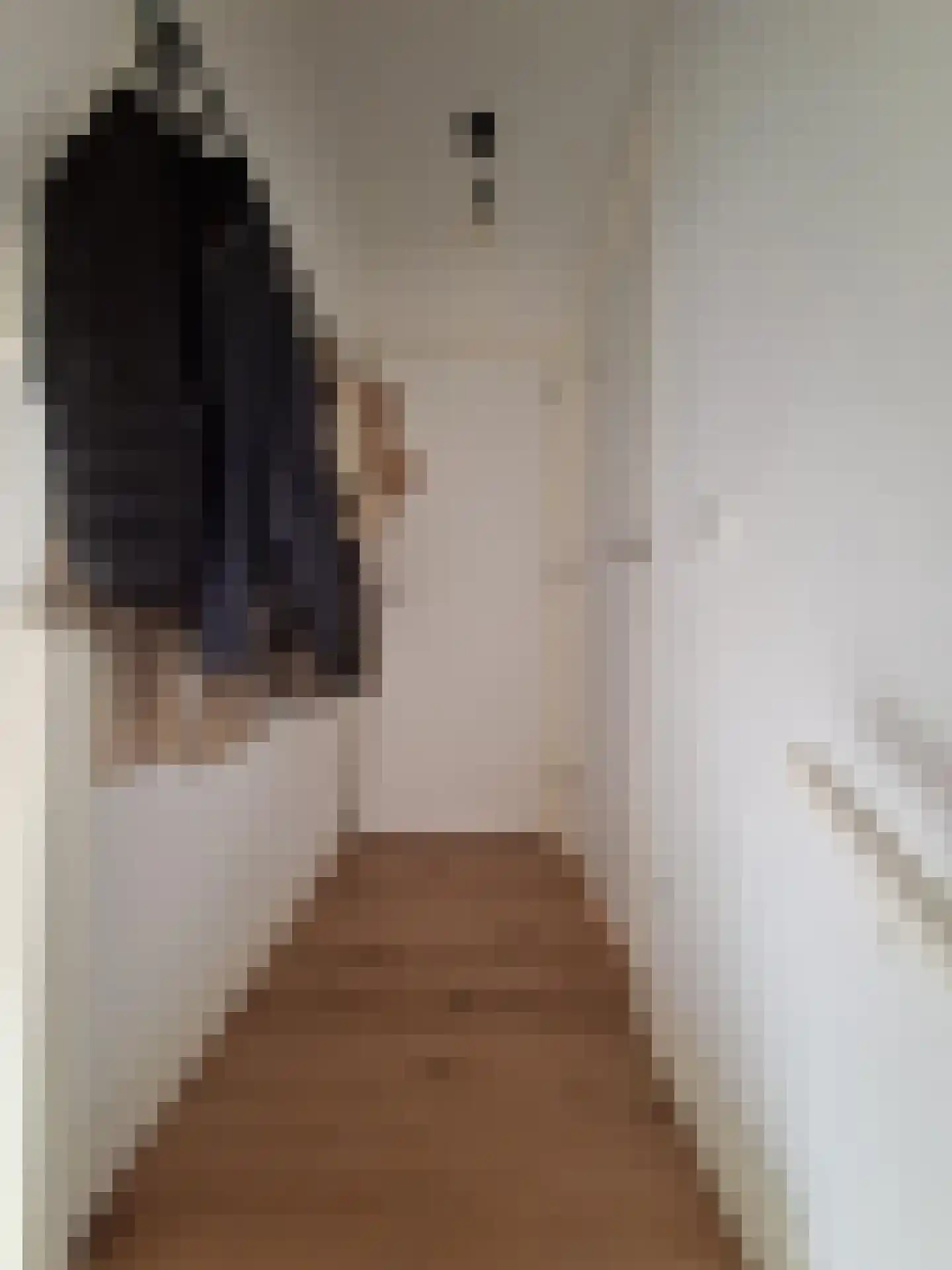 Maasstraat 102 Dordrecht thumbnail 5