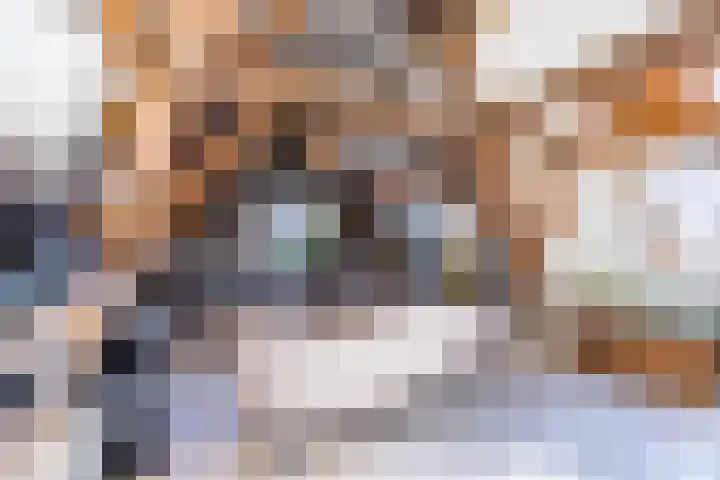 Maasstraat 11 Grave thumbnail 13
