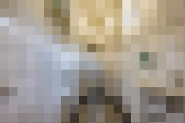 Maasstraat 11 Grave thumbnail 18