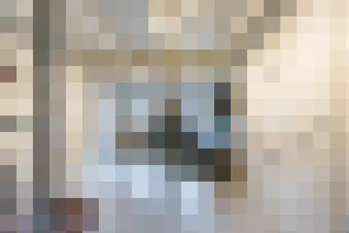 Maasstraat 11 Grave thumbnail 28