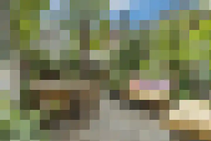 Maasstraat 11 Grave thumbnail 39